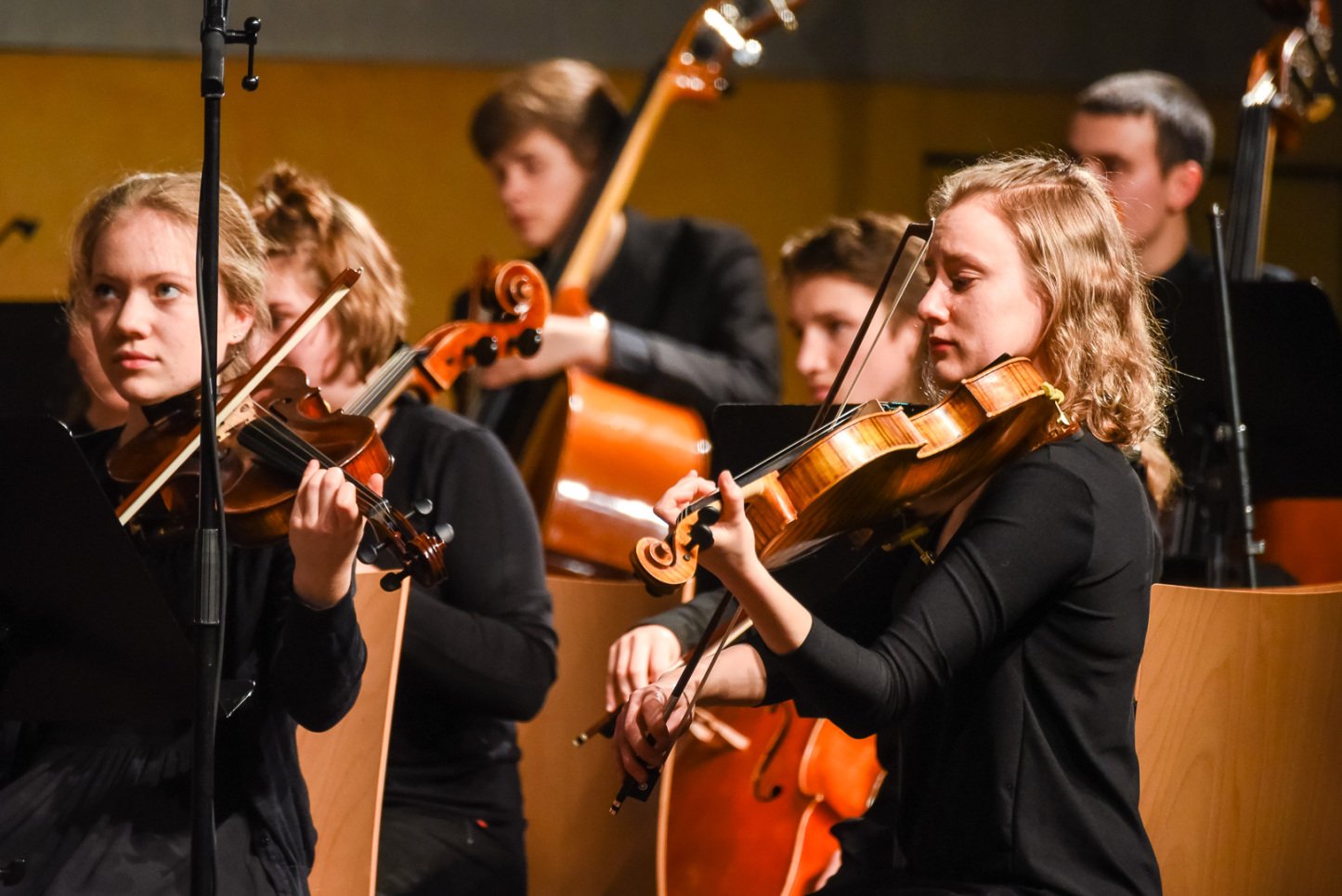 dummy kulturwerk Musik - Konzert.jpg