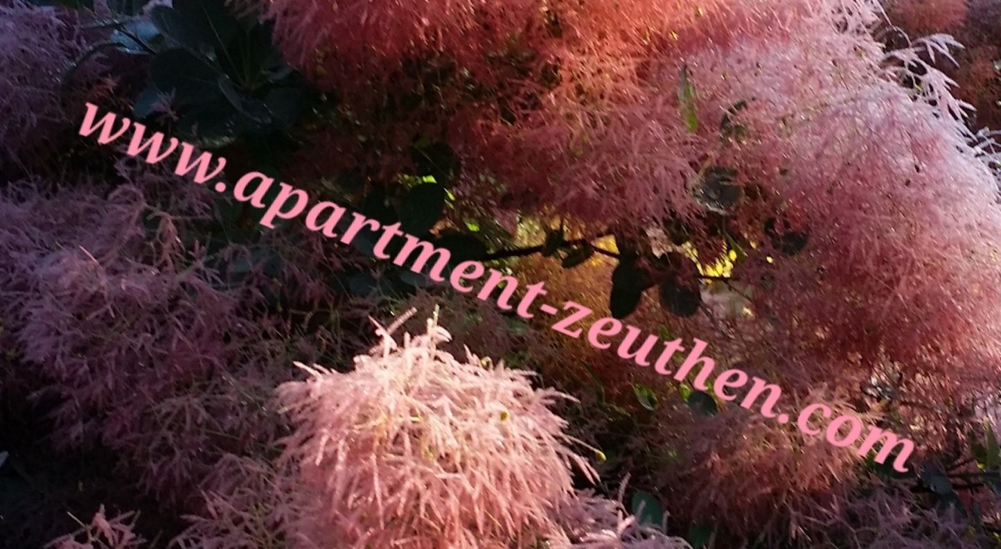 Einrichtung Apartment Zeuthen.jpg