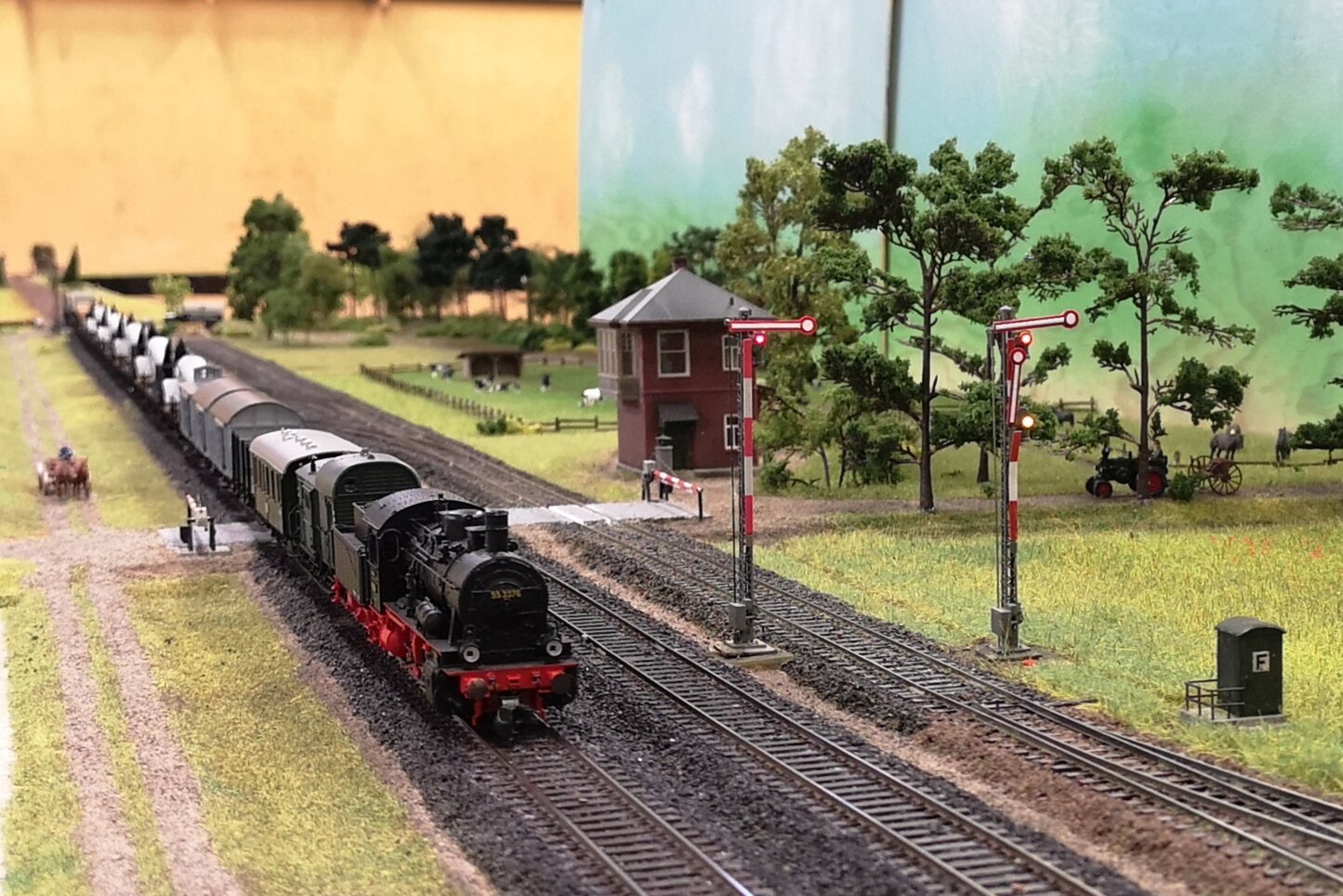 21791.jpg